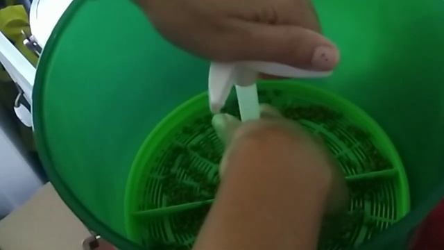 HOW TO GROW MUNG BEAN USING AUTOMATIC MUNG BEAN GROWER смотреть онлайн