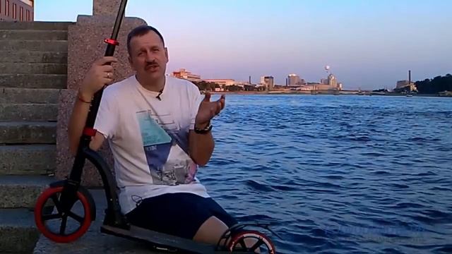 5 плюсов САМОКАТА для взрослого смотреть онлайн