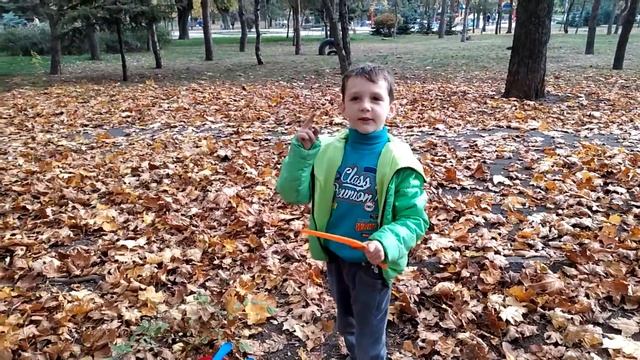 Осень, ищем деревья по загадкам. Гуляем по городу. 4 К. смотреть онлайн