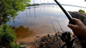 Ловля карпа на макушатник! Рыбалка на Днепре.