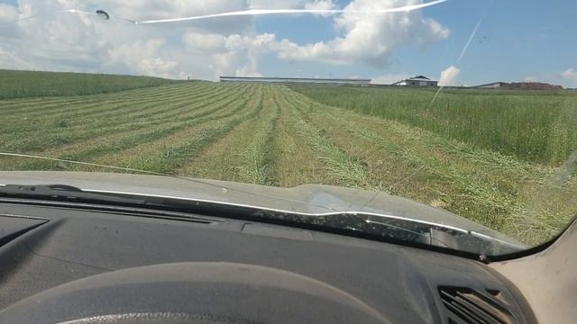 Первый день сенокоса ? ▶ Обзор Дончаков смотреть онлайн