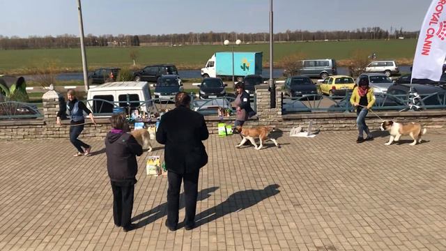 сравнение беби смотреть онлайн