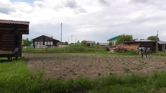 Живём в деревне \ Прохладное лето \ Огородные дела, что растет, а что нет. смотреть онлайн