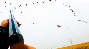 ОХОТА НА ГУСЯ. Гусь прет налет за налетом. Тысячи гуся.