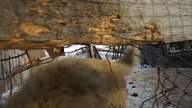 DSCN8462 смотреть онлайн