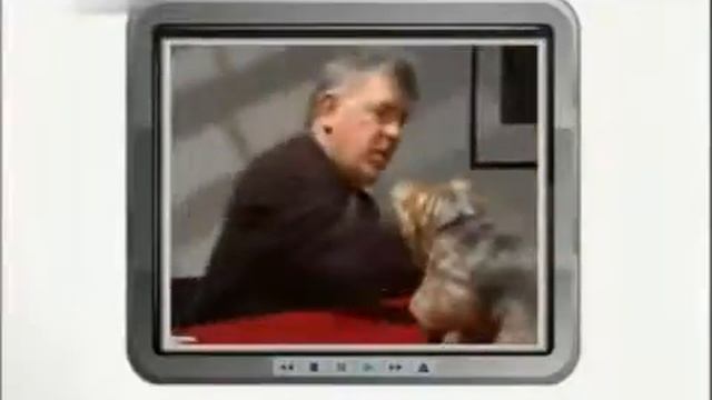 Йоркширский терьер. ( Введение в собаковедение, Dogs 101) смотреть онлайн