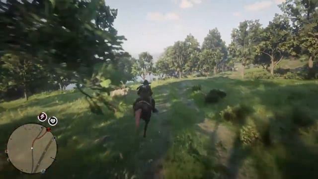 Пончо - лучшая подруга гринго смотреть онлайн