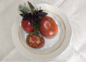 Томат - "Чёрный Крым".