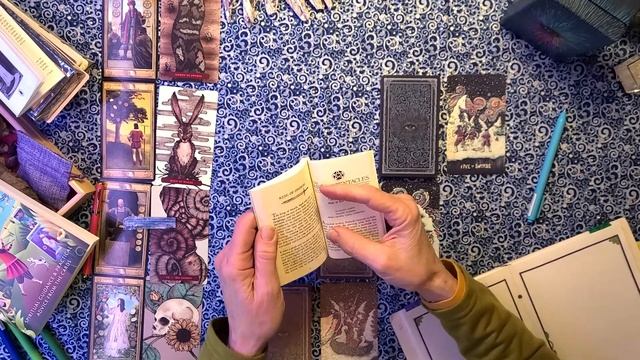 TorhallasReadings 20Feb2021 Prisma Visions Tarot смотреть онлайн