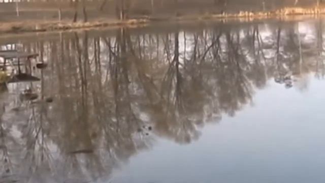 Рыболовный календарь.  Март.