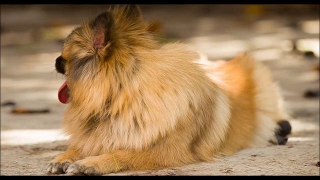 Canon 6d Test Raw 50 fps 720p - Magic lantern смотреть онлайн