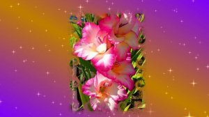 Футаж. Цветочный фон 124