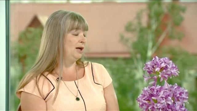 Дети и домашние животные - "Утро с вами" 05.08.2015 смотреть онлайн