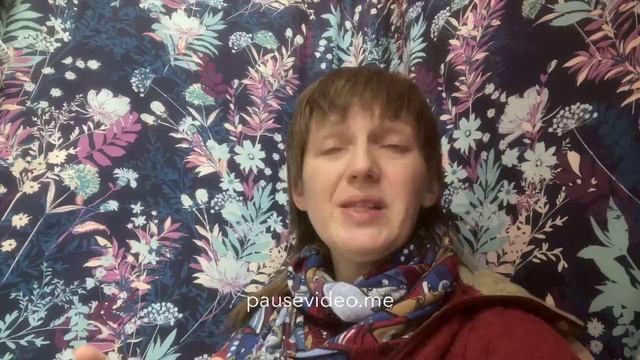 Влажные корма.