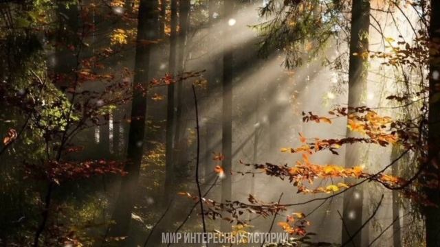 Муж визжал так что в ушах закладывало, я терпела его, но всему терпению приходит конец смотреть онлайн