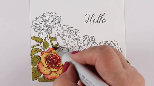 Copic Rose Garden смотреть онлайн