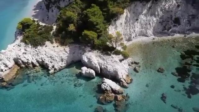 Самвел Адамян.Жирные коровы,бегемоты, свиньи.Пахать нужно/Saveliy Ad/ Grandeniko Vlog/Семья Сытники