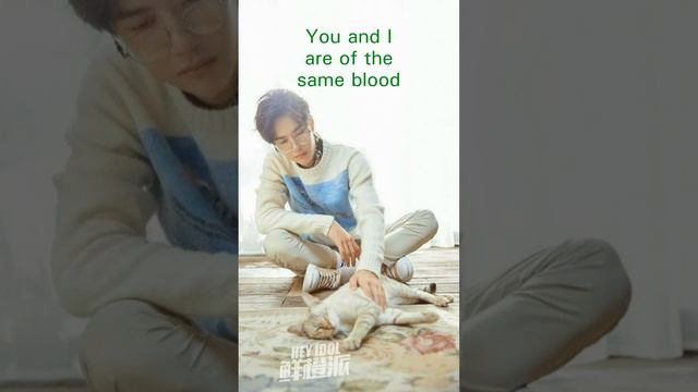 Does  Wang Yibo Look Like A Cat? / Похож ли Ван Ибо на кота? #WangYibo, #王一博, #Untamed