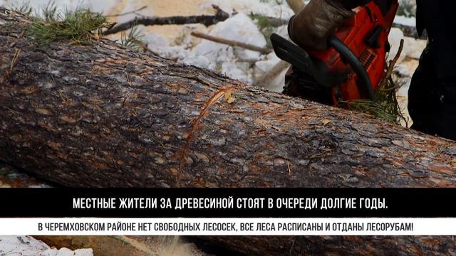 Левченко: "Лесосеки Черемховского района перейдут в распоряжение свирских предприятий" смотреть онлайн