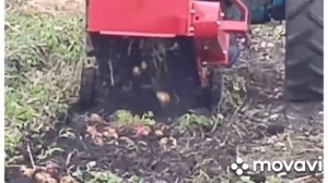 картофелекопалка Виракс & трактор - Т-40 ?