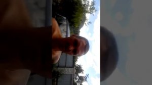 Мопс ты кто по масти?