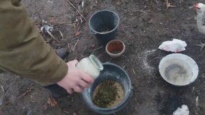 Рацион мускусных индоуток!Чем кормить индоуток