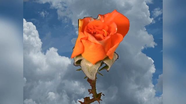 В честь имени! Стихи. Наташа, Наташка, Натуля, Наталья, Наташенька.