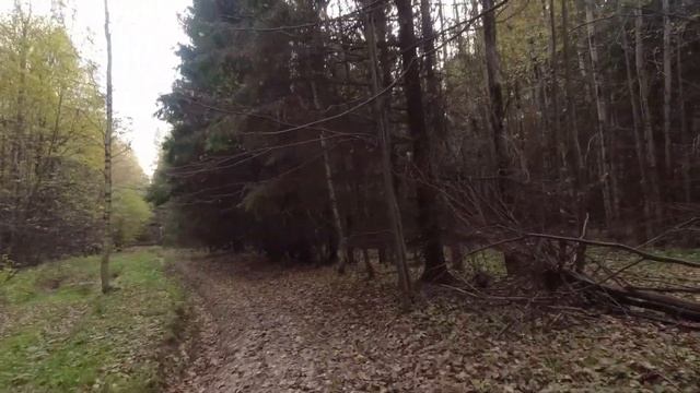 03-2. Веломаршрут по Тульской обл: пл.107км-Поленово-пл.132км. Часть 2. смотреть онлайн