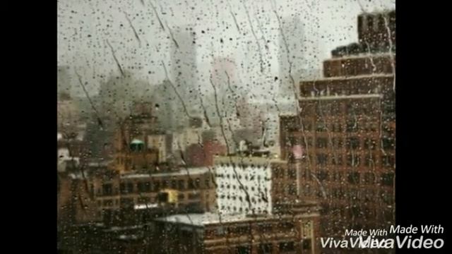 Стихи молодого поэта смотреть онлайн