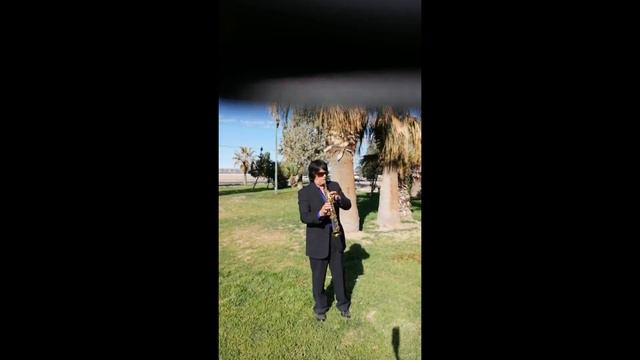 FOTO NOVELA SAX HECTOR AGUILAR cover sax q canta смотреть онлайн