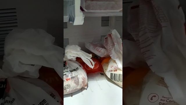 Geladeira Panasonic BT 55 muito dinheiro poupado... Em 10 meses de uso смотреть онлайн