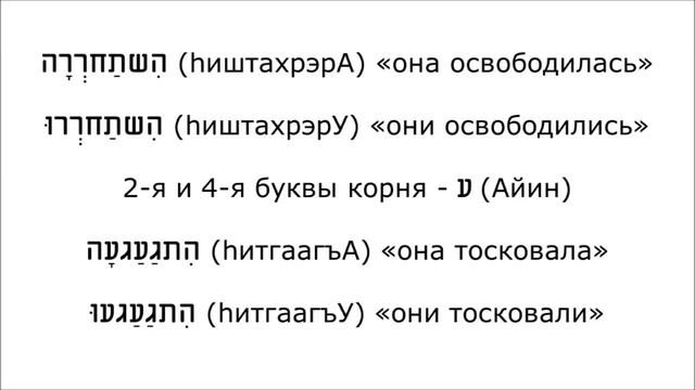 Урок № 179. "Большие" глаголы прошедшего времени биньяна התפעל (hитпаЭл) смотреть онлайн