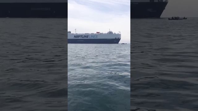 Рыбалка в Новороссийске смотреть онлайн