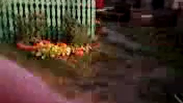 чёртики в табакерке