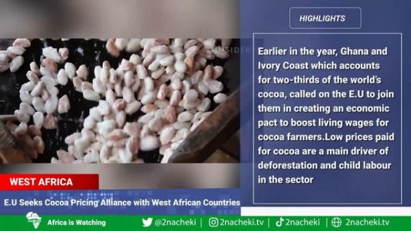 This is What Really Happened in Africa this Week: Africa Weekly News Update