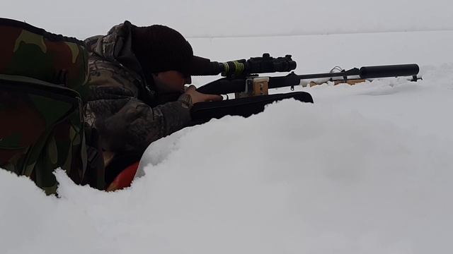 МР 121 "лис" 308 win пострелушки. Кабан вышел) 150м. Какие патроны лучше ?!?! смотреть онлайн