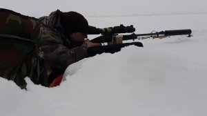 МР 121 "лис" 308 win пострелушки. Кабан вышел) 150м. Какие патроны лучше ?!?!