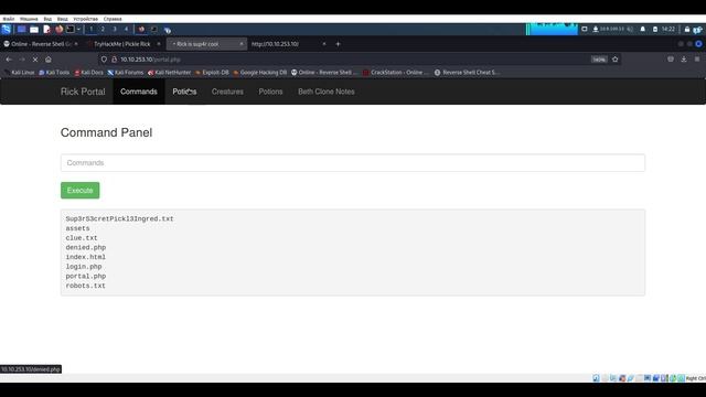 TryHackMe - Pickle Rick / CTF \ Пентест с нуля смотреть онлайн