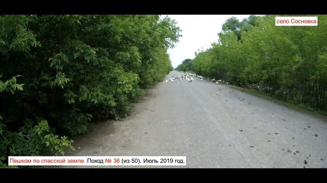 ПЕШКОМ ПО СПАССКОЙ ЗЕМЛЕ. Поход № 36 из 50 смотреть онлайн