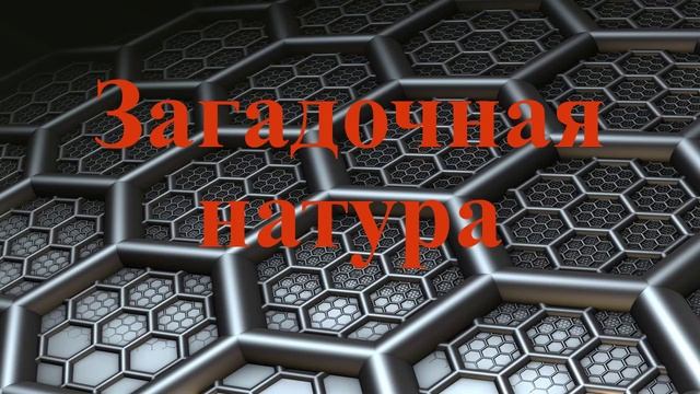 Загадочная натура. Рассказ. А. П. Чехов. смотреть онлайн