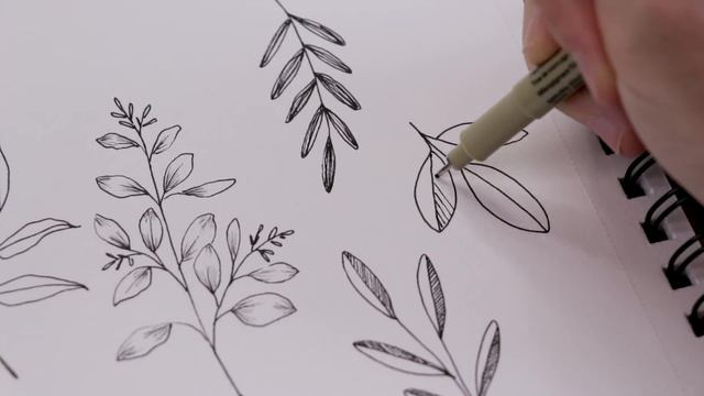 How to Draw Leaves and Botanicals | Relaxing, Journaling, Beginner смотреть онлайн