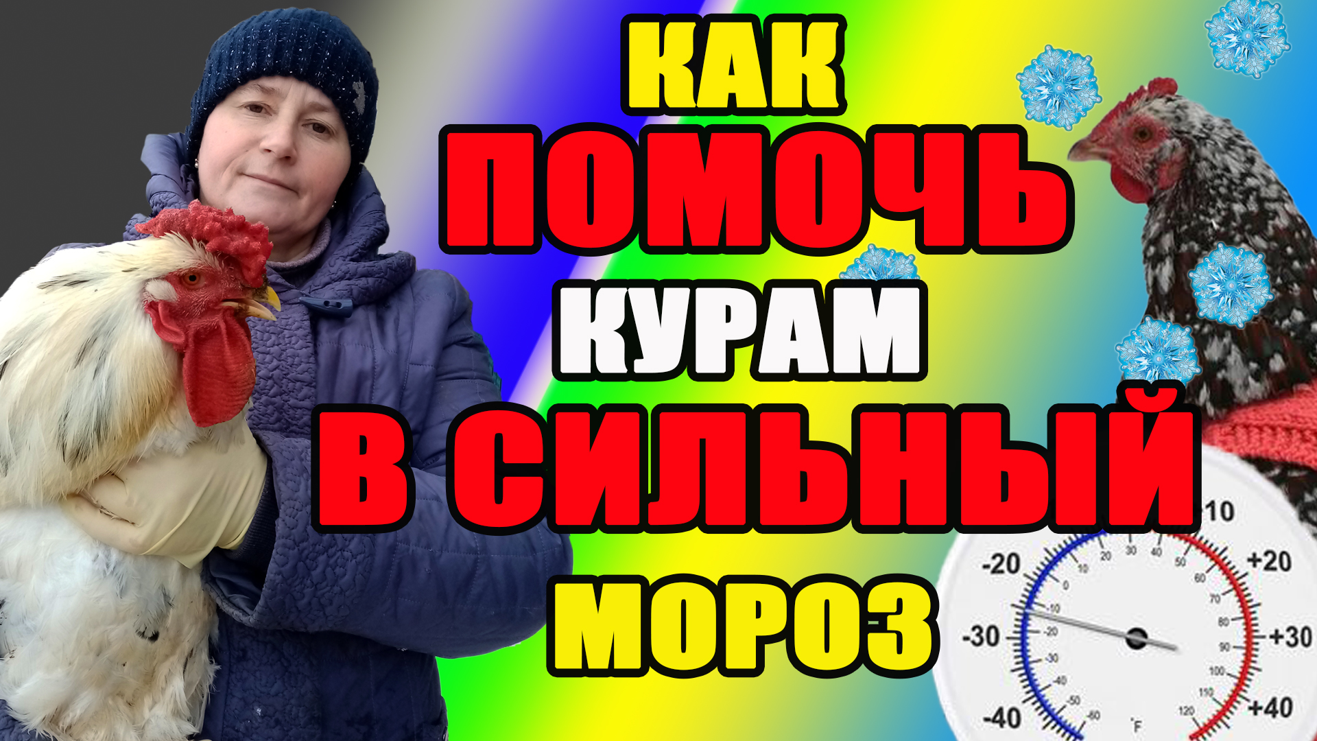 Как помочь курам в сильный мороз. смотреть онлайн