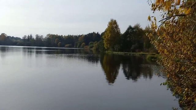 ЗАБРАЛА ЗАКАЗ в Wildberries,В нашем озере огромные Щуки?Покупки из Пятёрочки? смотреть онлайн