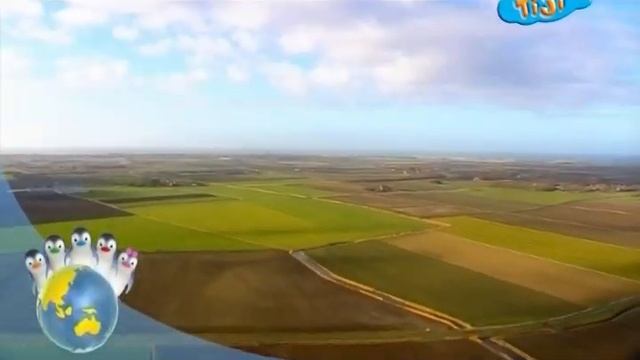 Ози Бу! Защити планету - Животные и как нам их защитить - Живые изгороди смотреть онлайн