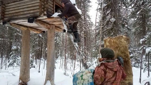 Поездка на Васюганские болота, Ханты, избы, охота... смотреть онлайн