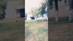 База отдыха Магнит Багаевская область