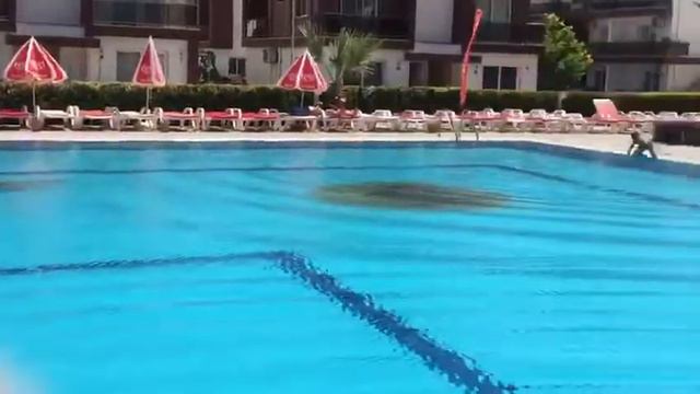 КИПР 20 метров под водой глубина 1,8 м смотреть онлайн