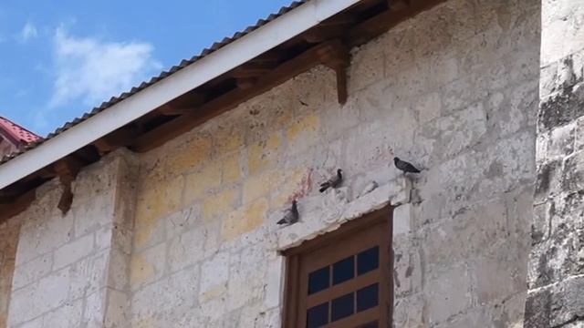 BOHOL ISLAND ADVENTURE (Day Tour at Bohol, Philippines) смотреть онлайн