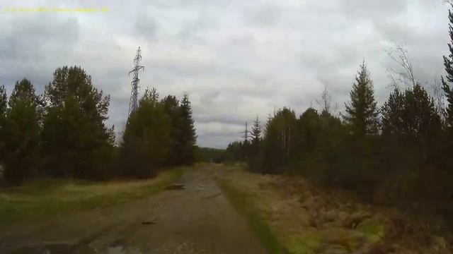 Покатушки по Волчанскому лесу смотреть онлайн