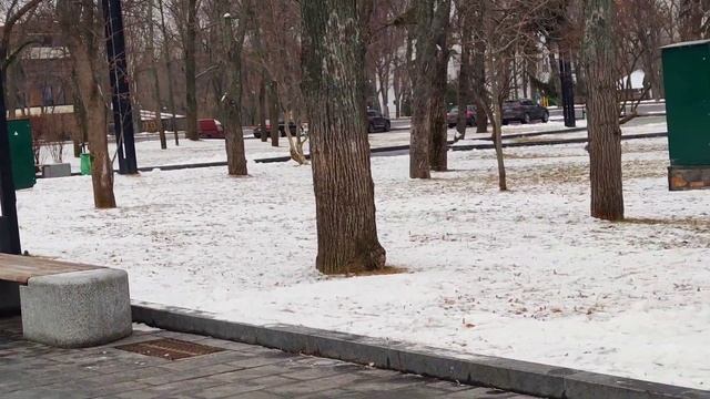 Kharkiv Харьков Танцы Девушка с оленьими глазами Февраль 2023 смотреть онлайн